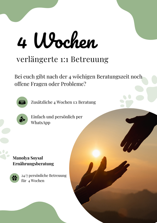 4 Wochen zusätzliche 1:1 Hundebetreuung - persönliche Begleitung durch Manolya