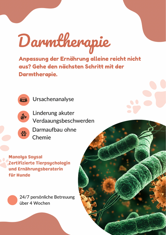 Darmtherapie