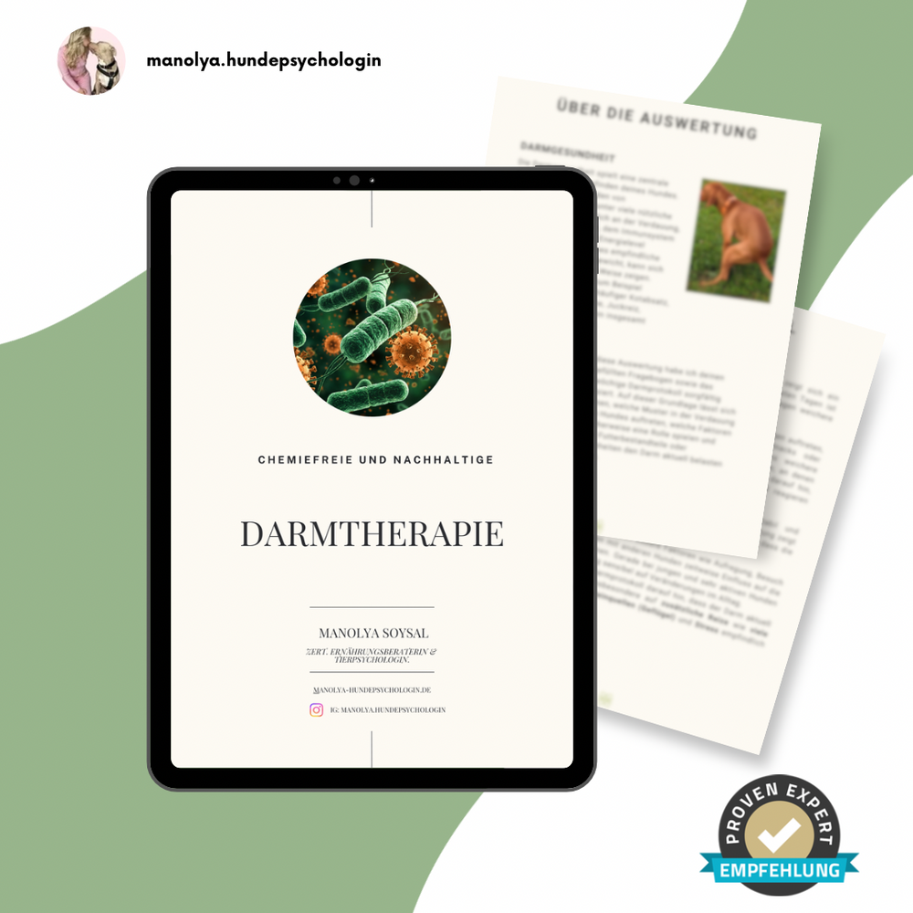 Darmtherapie