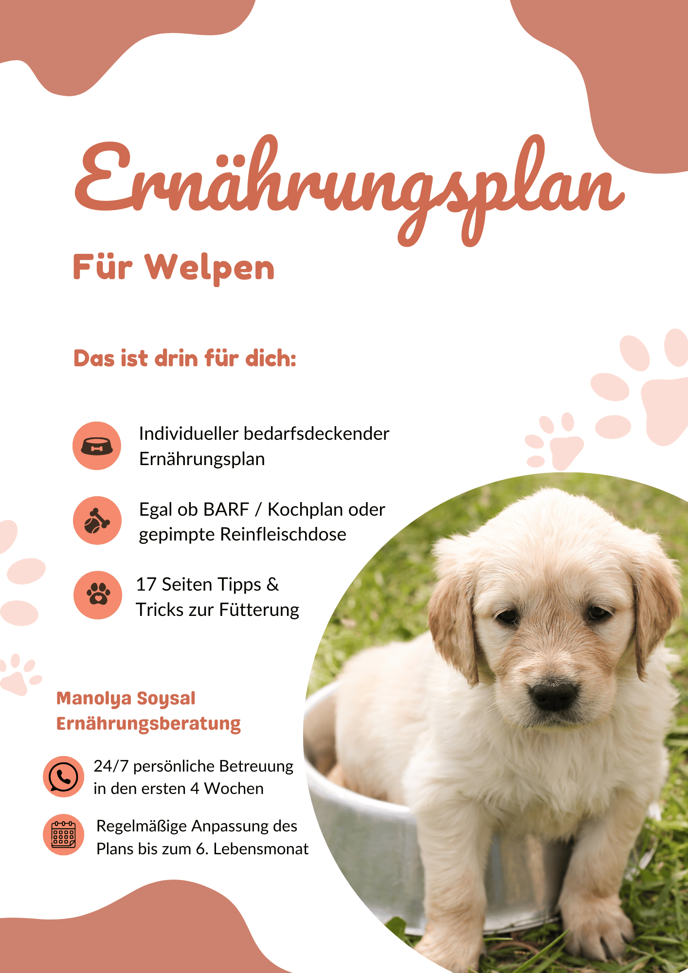 Ernährungsplan Welpe