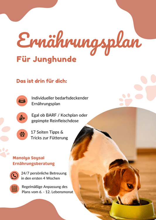 Ernährungsplan für Junghunde