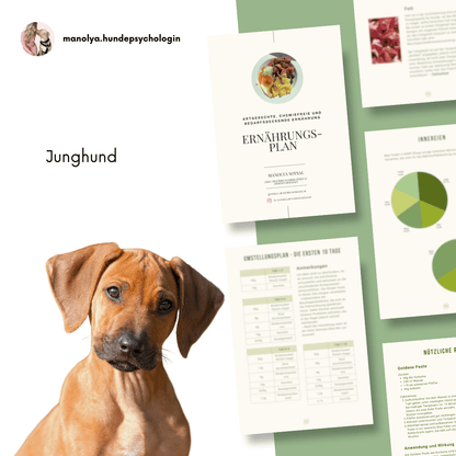 Ernährungsplan für Junghunde in der Wachstumsphase, BARF, Kochplan oder Reinfleischdosenplan