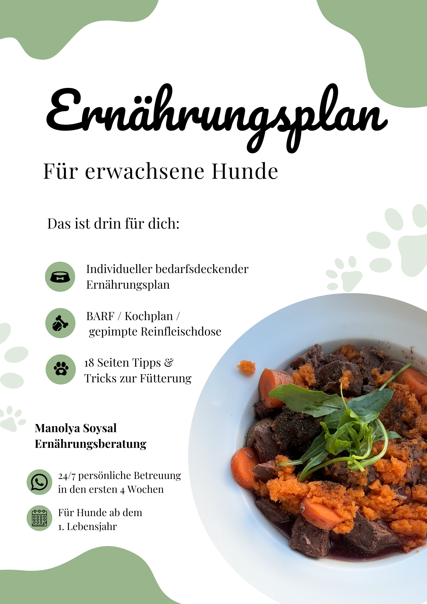 Ernährungsplan Adult