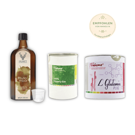 Magen-Darm-Bundle für Hunde | Phytomoor, Slippery Elm & L-Glutamin