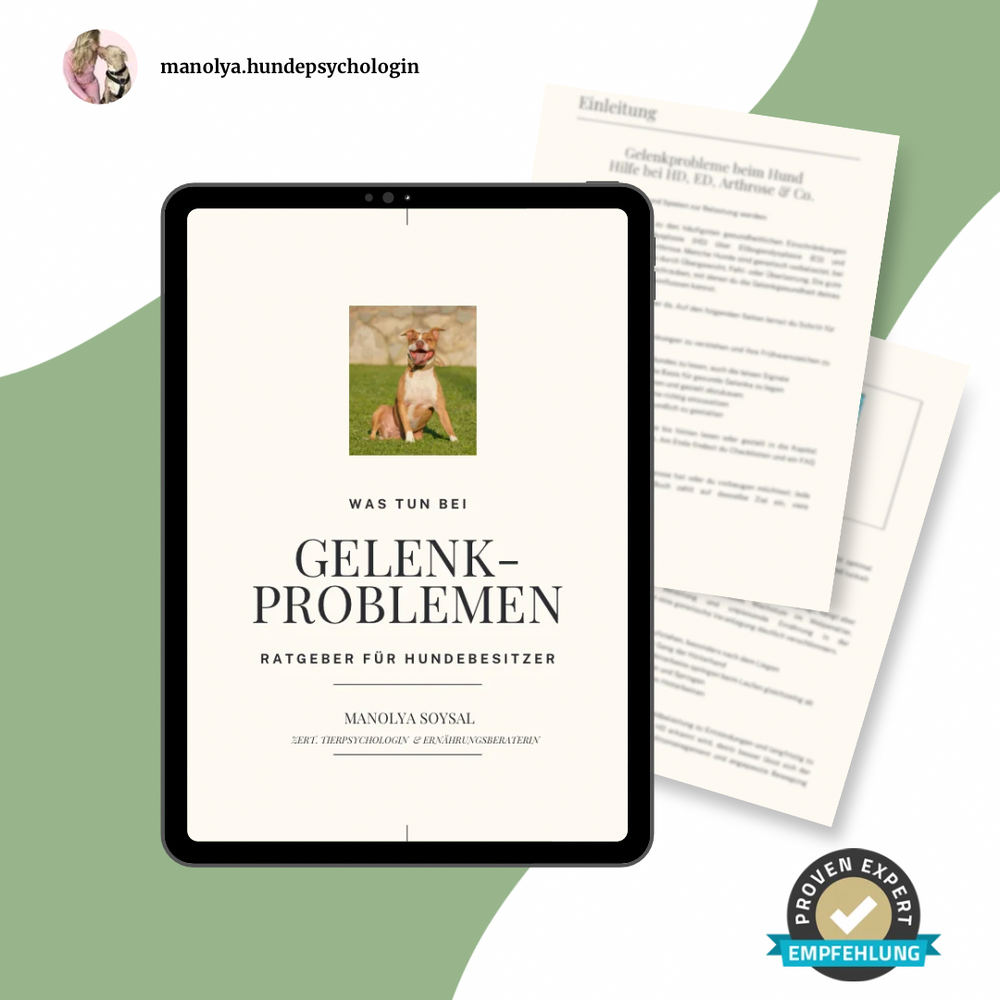 Gelenk-Ratgeber für Hunde – Was tun bei Gelenkproblemen (E-Book)