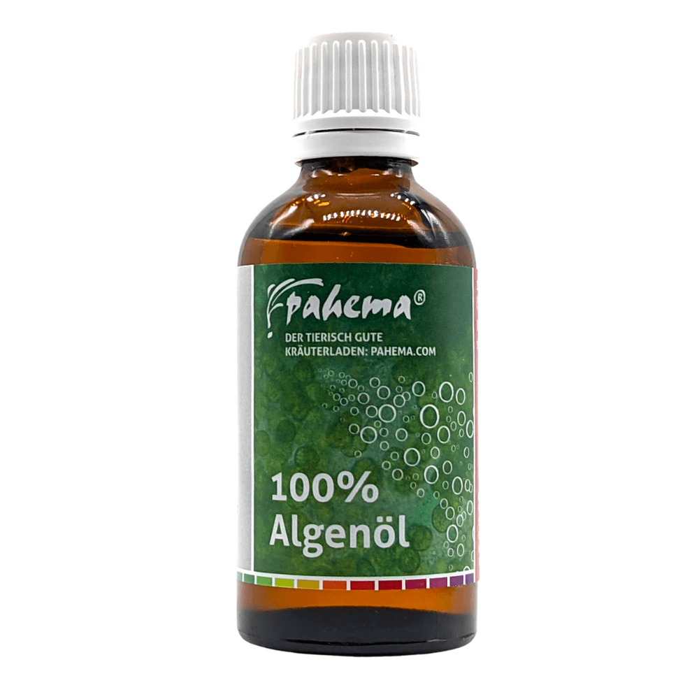 Algenöl