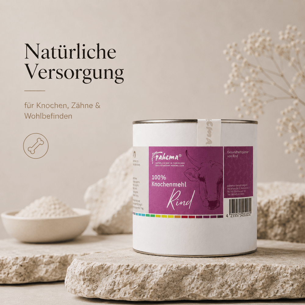 Knochenmehl Rind