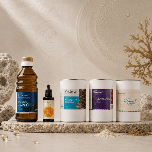 Koch Bundle