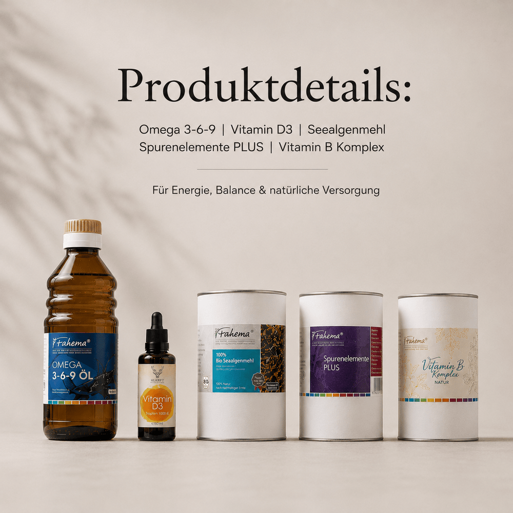 Koch Bundle