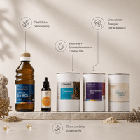 Koch Bundle