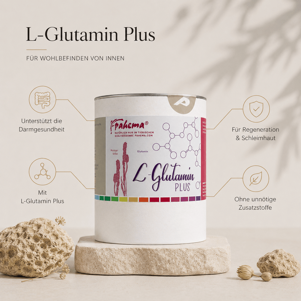 L-Glutamin Plus