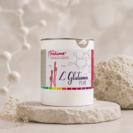 L-Glutamin Plus