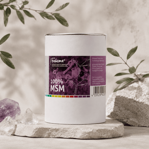 MSM Pulver