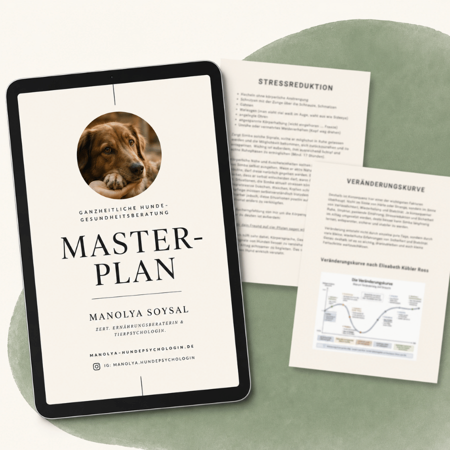 Masterplan