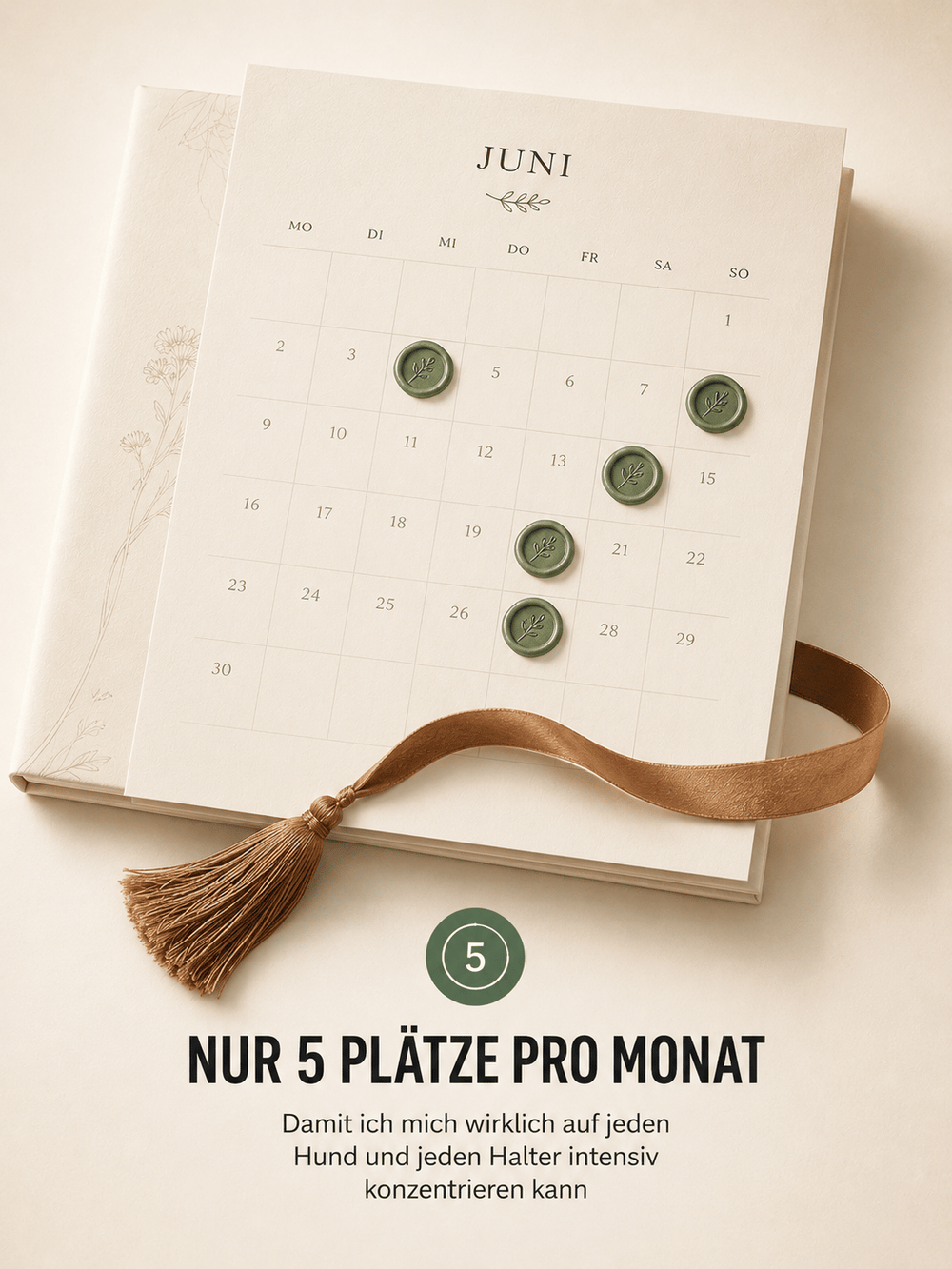 Masterplan