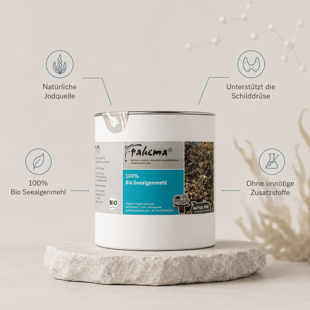 Bio Seealgenmehl