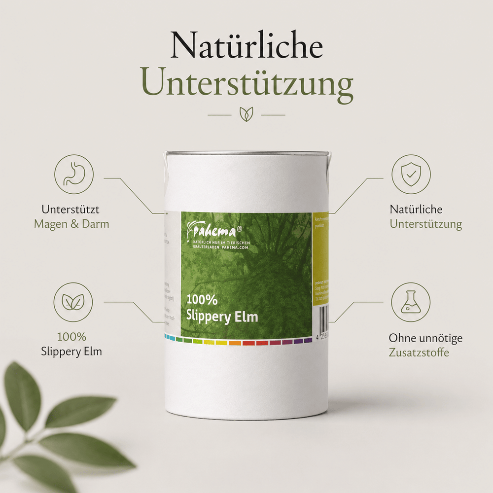 Slippery Elm Pulver