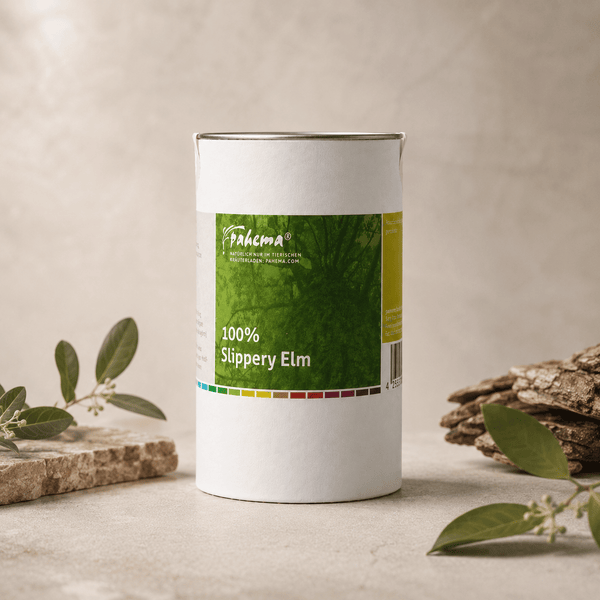 Slippery Elm Pulver