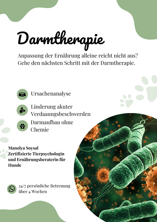 Ganzheitliche Darmtherapie für Hunde - Unterstützung bei Verdauungsproblemen