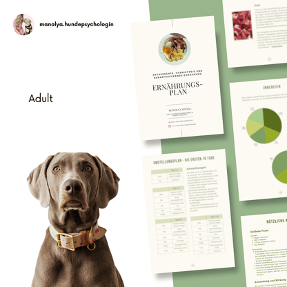Detailansicht des Ernährungsplans für erwachsene Hunde - BARF und Kochoptionen