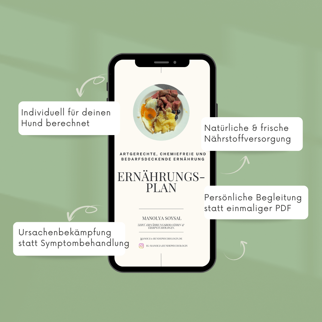 4 Hauptvorteile des individuellen Ernährungsplans für Hunde von Manolya