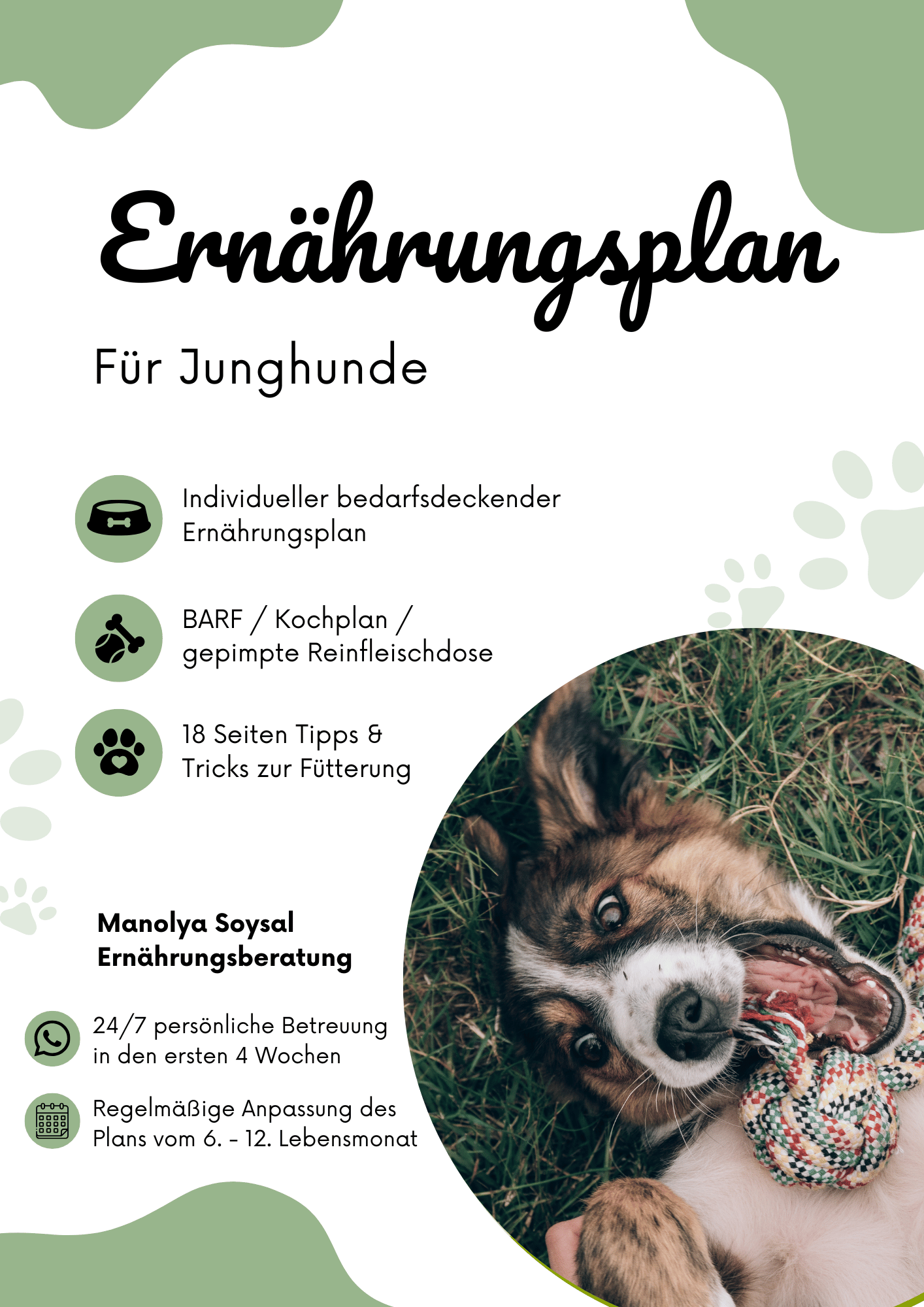 Spezieller Ernährungsplan für Junghunde in der Wachstumsphase - individuell angepasst