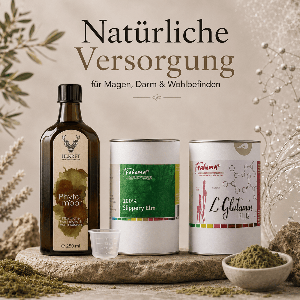 Magen Darm Bundle