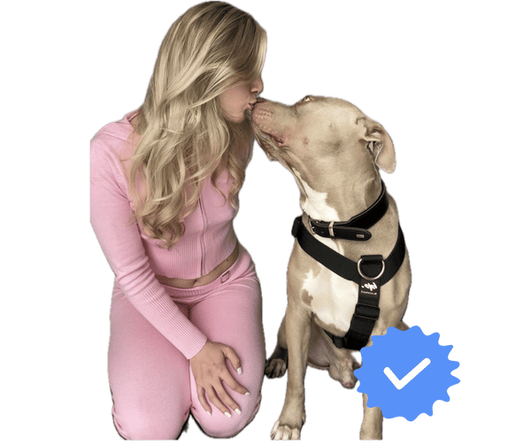 Manolya Hundepsychologin - Ganzheitliche Hundegesundheitsberatung und Ernährungsberatung