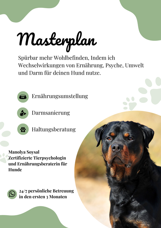 Masterplan für Hunde - Ganzheitliches Gesundheits- und Ernährungsprogramm von Manolya Hundepsychologin